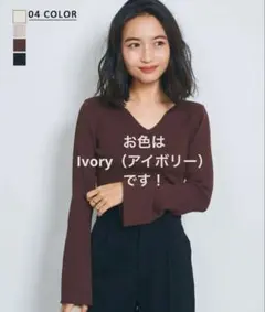 Basement online Vネック　フレアスリーブニット