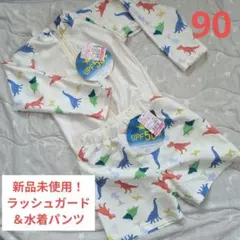 恐竜柄ラッシュガードとショーツセット