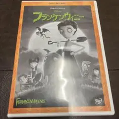 FLATWORLD フラットワールド DVD - メルカリ