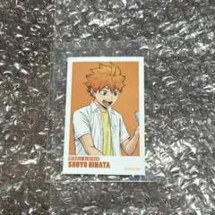 ハイキュー　東武動物公園コラボ　日向