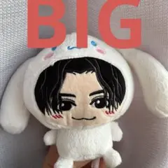 2023 FANTASTICS 八木勇征　BIGぬいぐるみ　シナモロール