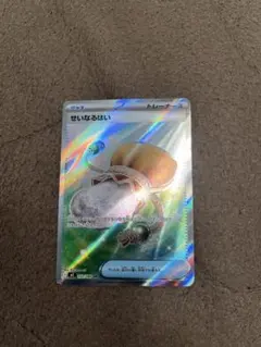 ポケモンカード せいなるはい トレーナーカード