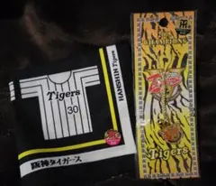 阪神タイガース 2005年 チャンピオン記念のサムネイル