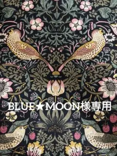 BLUE★MOON様専用ページ
