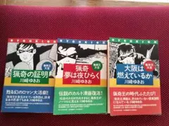 Item thumbnail for item 3f1edd41-c9c5-4903-a484-4b9f6dd79a13