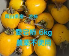 岡山県産 愛宕柿(渋柿)6kg 干し柿用 農薬栽培期間中不使用 送料込