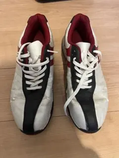 Item thumbnail for item 9f20c775-5250-4256-93ee-332dfc54f8af