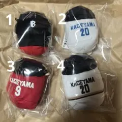 ハイキュー　のるキャラマスコット