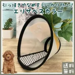 Item thumbnail for item fa1db487-d3a4-4a73-be90-fcc6d16b2feb