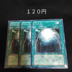 遊戯王　古の森　字レア　３枚　魔法
