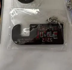 山下健二郎　山フェス2025セット(バラ売り可)