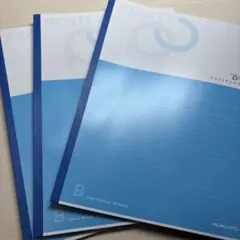 Item thumbnail for item 628543bf-9fd1-4dc0-baec-41790c4860f5