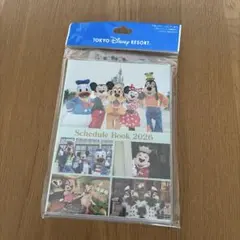 Item thumbnail for item 89ee293c-2f04-4e86-bc24-a9e772bc4d35