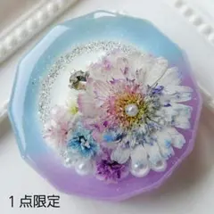 レジンヘアゴム ポニーフック ドライフラワー No.411 - メルカリ