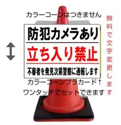 Item thumbnail for item b427f3ed-db11-4515-89d3-13a21aa263a7