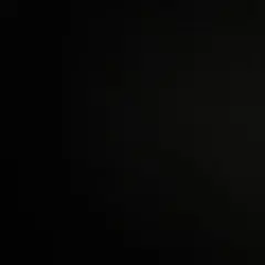 ほうじ茶様　専用