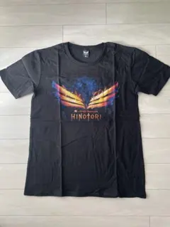 Item thumbnail for item 6eea7e78-2b1d-4c8d-bda2-993de4b0206b