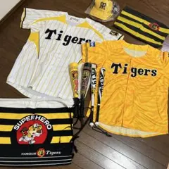 Item thumbnail for item cf6df0fd-9665-482c-9194-5397c6bdef1b