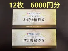 ヤマダ電機　株主優待券　500円×12枚(6000円分) 2026年６月末まで
