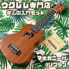入門セット】musicのパイナップル・ソプラノウクレレ【ウクレレ専門店