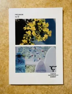 CARAT MAGAZINE vol.12