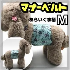 Item thumbnail for item f6609f7c-2cd3-41f7-a249-7a627b094345