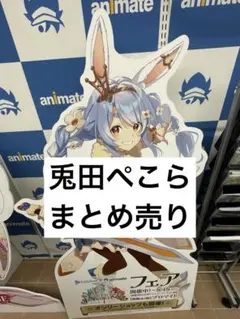 兎田ぺこら まとめ売り