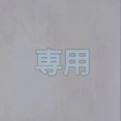 専用