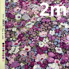 Item thumbnail for item 48c6c7da-faf5-49fa-adcd-7db501712a64