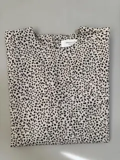 Item thumbnail for item 915bdded-feaa-4c52-a6c1-cfcb203c8809