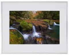 Item thumbnail for item 4848a33e-798a-4e41-89ad-62757f213ab8