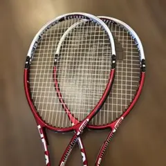 FXP PRESTIGE TEAM HEAD２本セット　フレックスポイント