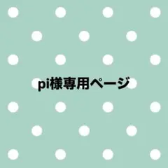 pi様専用ページ です