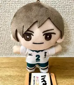 【バラ売り可】ハイキュー!! みにコレ！ぬいぐるみ マスコット 二口堅治 及川徹 TOHO animation on X: 