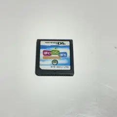 ぼくとシムのまち　ds ゲームソフト