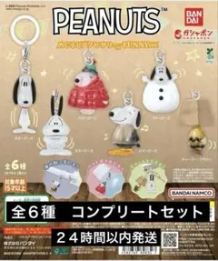 PEANUTS めじるしアクセサリー FUNNY ver. スヌーピー