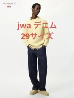 UNIQLO jw anderson デニム 29 25aw
