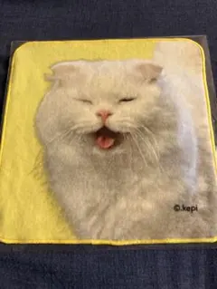 2025年最新】royz タオルの人気アイテム - メルカリ