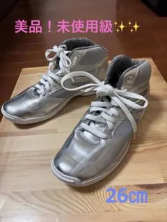 ミズノウエーブダイバースDE シルバー　26センチ