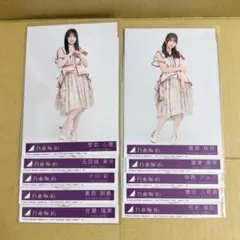 乃木坂46 生写真 12枚セット まとめ売り ビリヤニ封入 - メルカリ