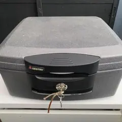 2026年最新】SENTRY H2100の人気アイテム - メルカリ
