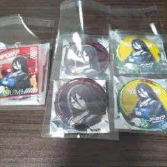 ヴィレッジヴァンガード アクリルキーホルダー ブルアカ　ヴィレヴァン　羽川ハスミ