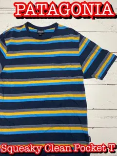 patagoniaパタゴニア Squeaky Clean Pocket Tee