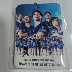 Item thumbnail for item 48164bc5-afe4-4219-9472-0406c5357cc7