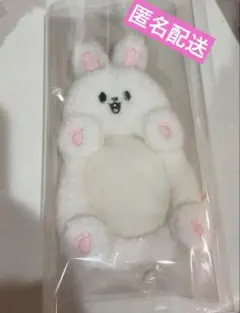 Stray Kids ぬいぐるみ テディベア リノ リービット 2026年最新】straykids リノ ぬいぐるみの人気アイテム - メルカリ