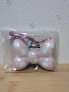 東京ディズニーランド パルパルーザ ミニー スーベニア ミニスナックケース