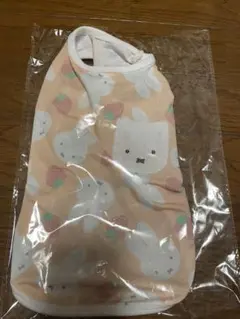 Item thumbnail for item 1fb87f83-7763-430c-860f-fcae9fa49fb1