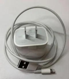 Apple 20W USB-C充電器とLightningケーブル