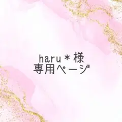 haru＊様専用ページ
