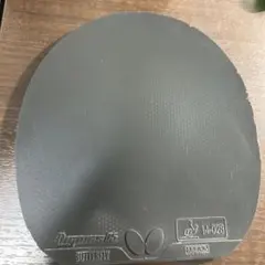 ディグニクス05